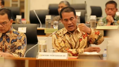 Harga Beras di dalam tempat 3 Negara Tetangga Hampir Rp100 Ribu per Kg, Mentan Amran: Indonesia Stabil
