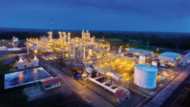 MedcoEnergi Rampungkan Akuisisi Seismik 3D Rebonjaro pada di Blok Corridor