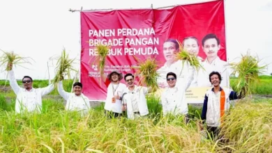 Panen Perdana, Rembuk Pemuda Jaminan Wujudkan Swasembada Pangan