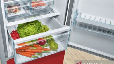 Sederet makanan yang dimaksud sebaiknya bukanlah disimpan di “freezer”