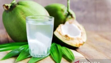 Daftar minuman yang dimaksud mampu tingkatkan fokus kemudian daya ingat otak