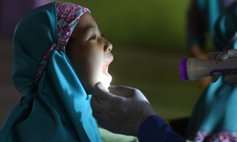 Kenali jenis gigi juga tahapan perkembangan gigi pada bayi kemudian anak-anak